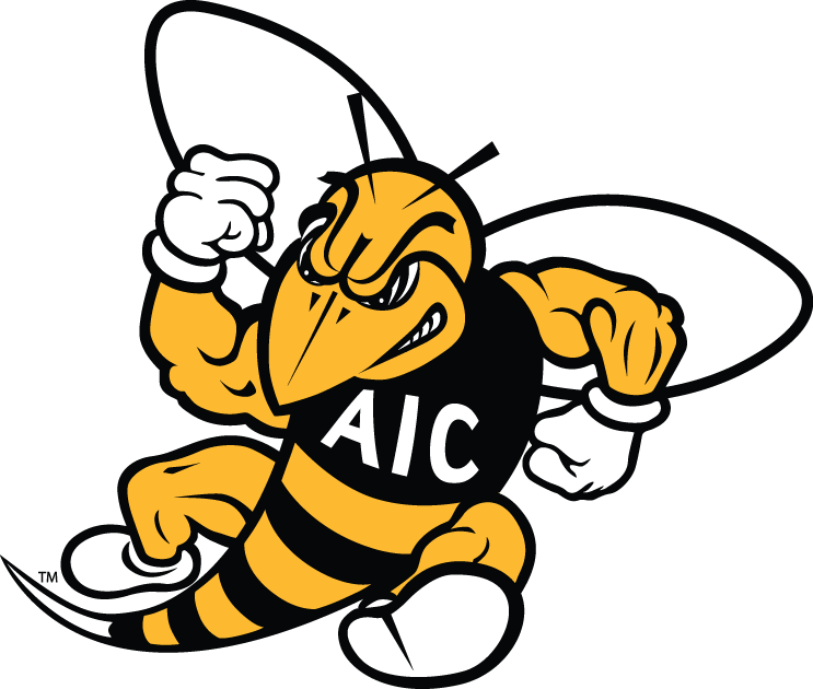 AIC Yellow Jackets 2009-Pres Secondary Logo DIY iron on transfer (heat transfer)